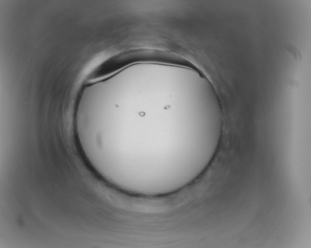 X0000114240008200910231533