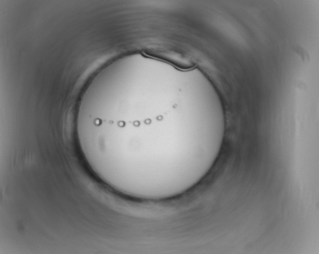 X0000114240012200910231533