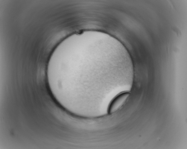X0000114240015200910231533