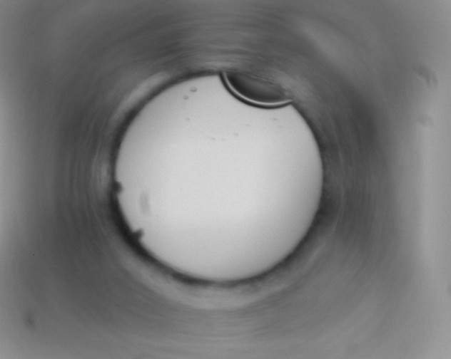 X0000114240016200910231533