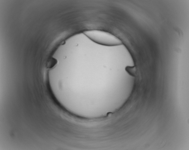 X0000114240019200910231533