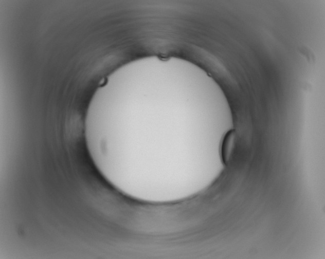 X0000114240025200910231533