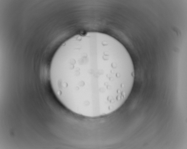 X0000114240027200910231533