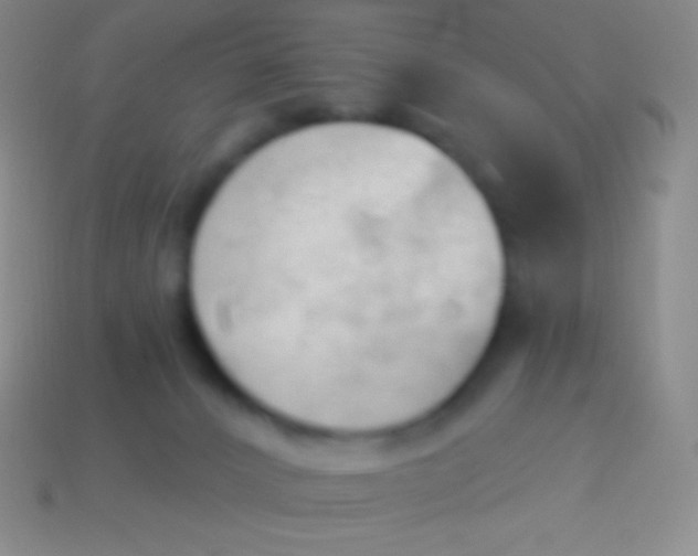 X0000114240032200910231533