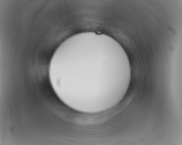 X0000114240033200910231533