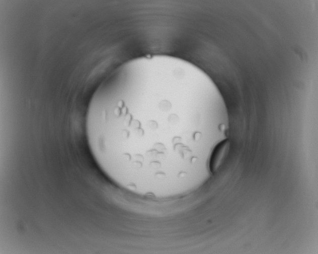 X0000114240035200910231533