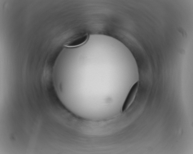 X0000114240037200910231533