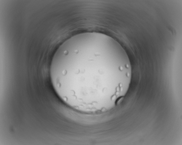 X0000114240039200910231533