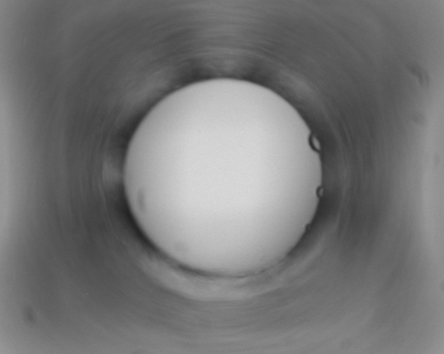 X0000114240040200910231533