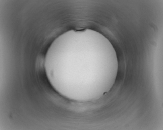 X0000114240041200910231533