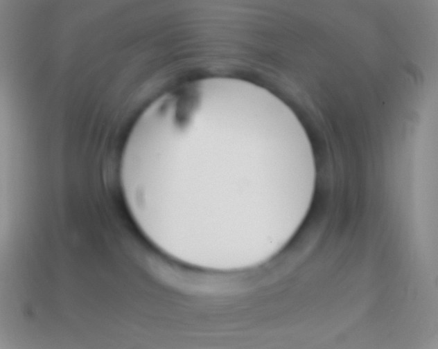 X0000114240044200910231533
