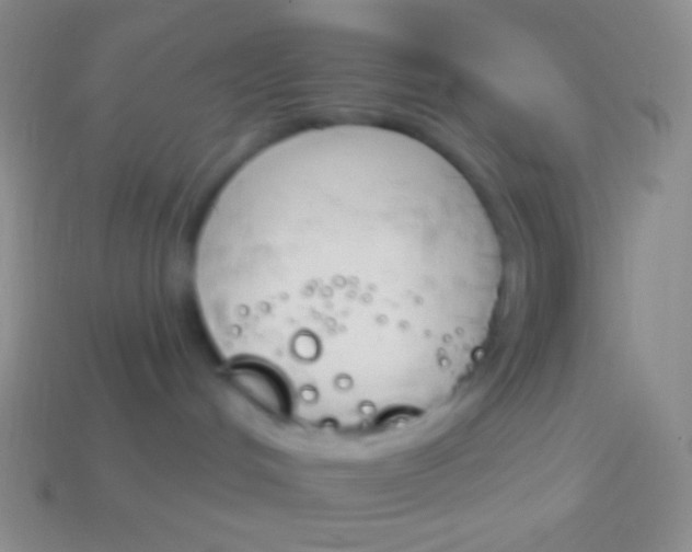 X0000114240048200910231533