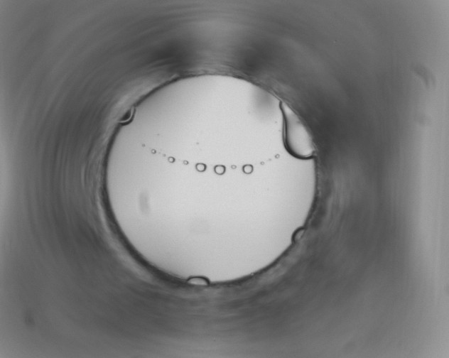 X0000114240049200910231532
