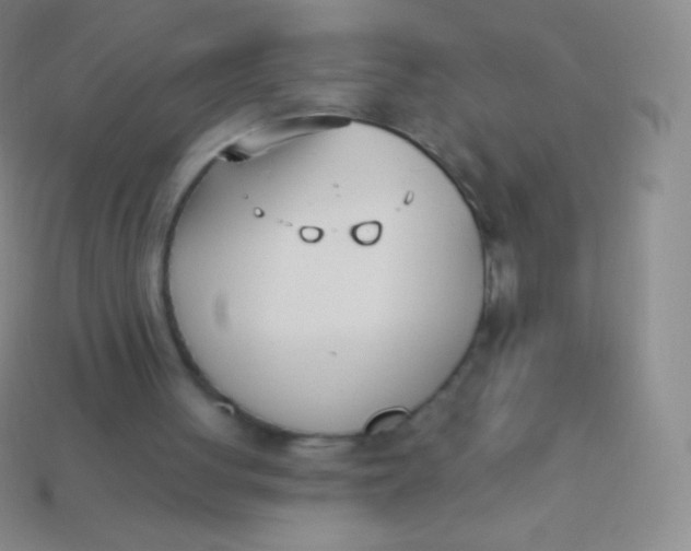 X0000114240051200910231532