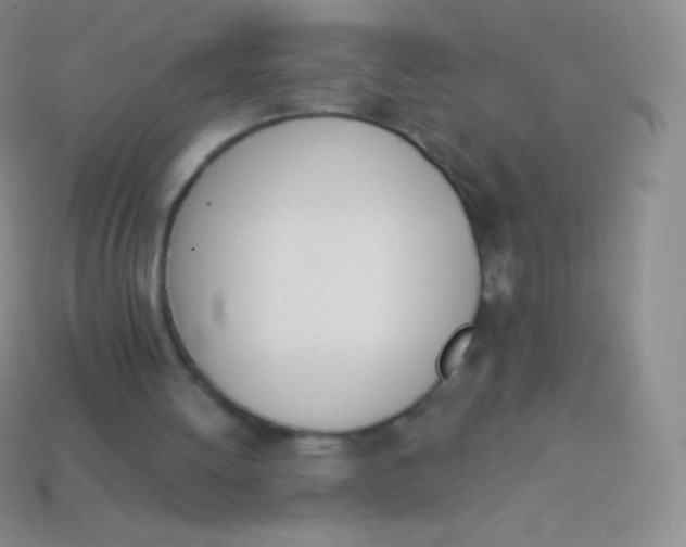 X0000114240052200910231532