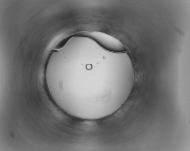 X0000114240053200910231532
