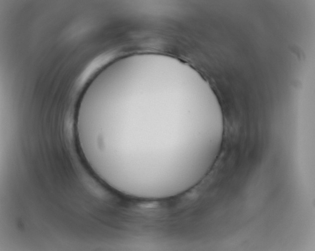 X0000114240054200910231532