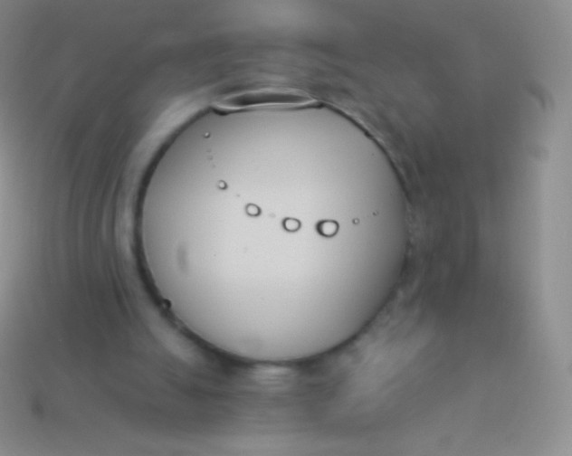 X0000114240055200910231532
