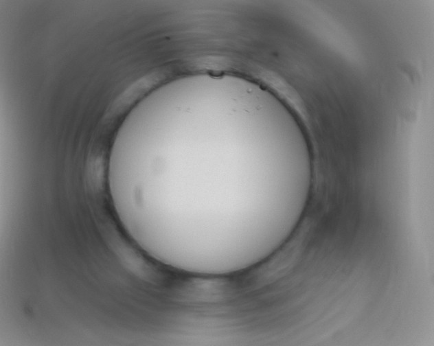 X0000114240057200910231532