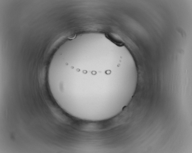 X0000114240058200910231532