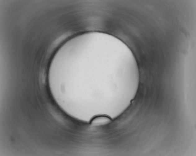 X0000114240060200910231532