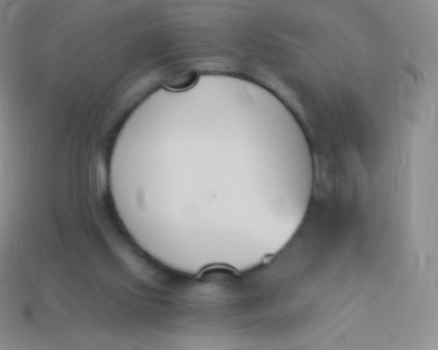 X0000114240061200910231532