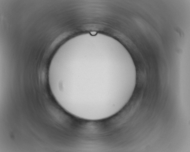 X0000114240064200910231532