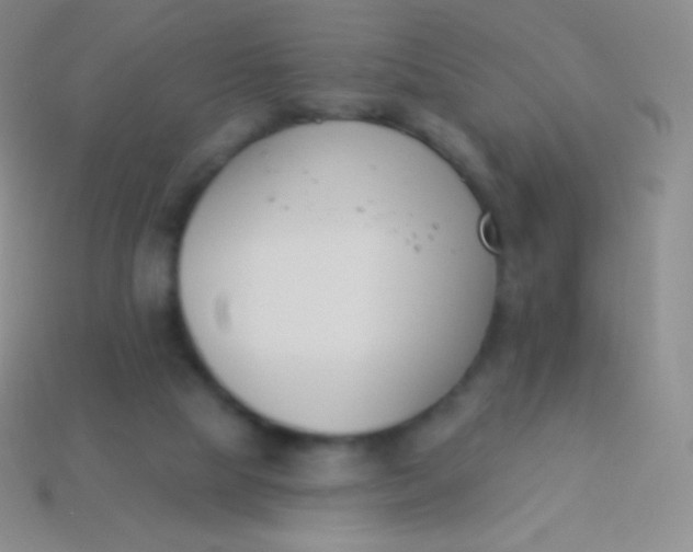 X0000114240065200910231532