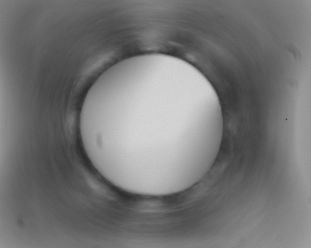 X0000114240066200910231533
