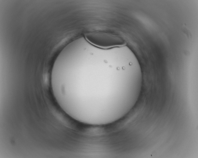 X0000114240067200910231533