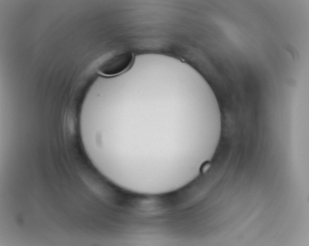 X0000114240068200910231533