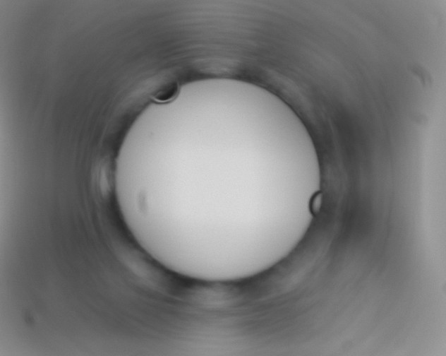 X0000114240069200910231533