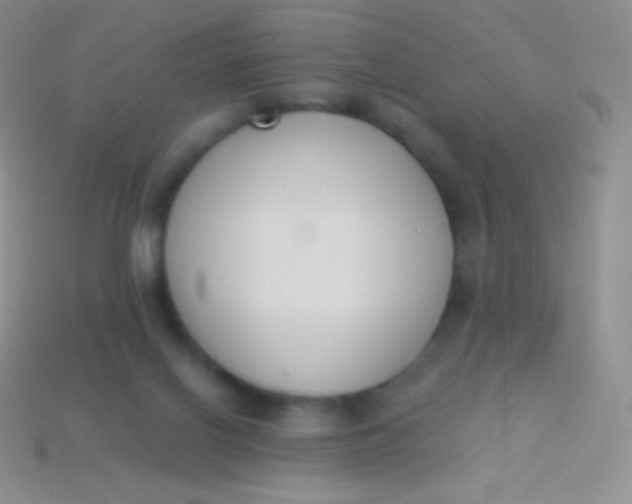 X0000114240070200910231533