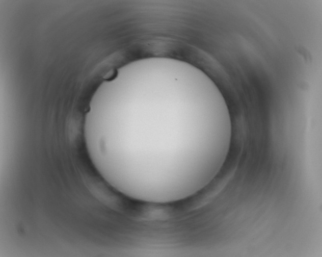 X0000114240073200910231533