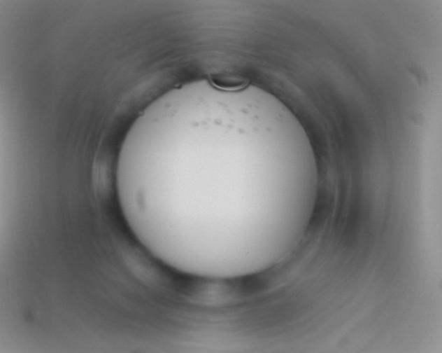 X0000114240074200910231533