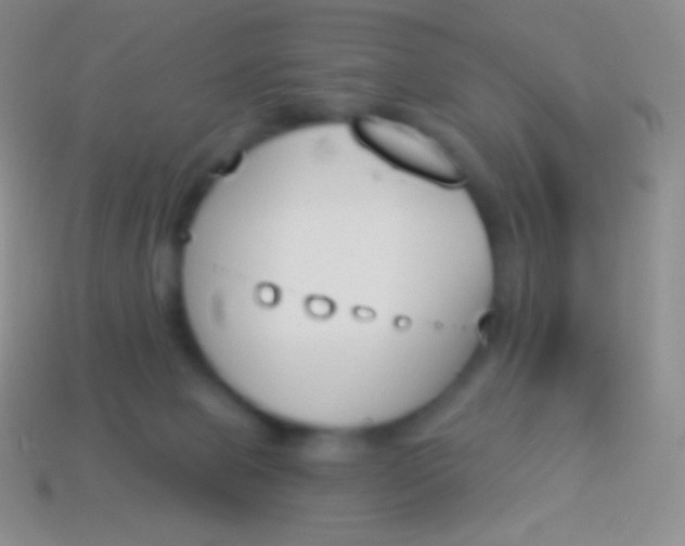 X0000114240077200910231533