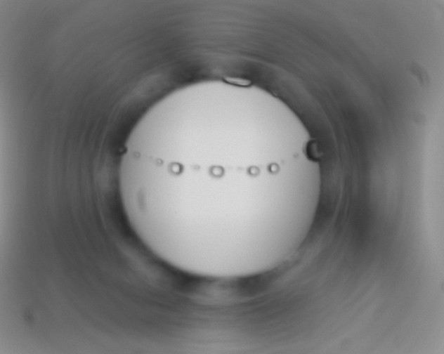 X0000114240078200910231533