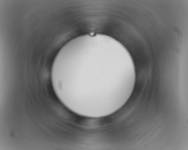 X0000114240084200910231533