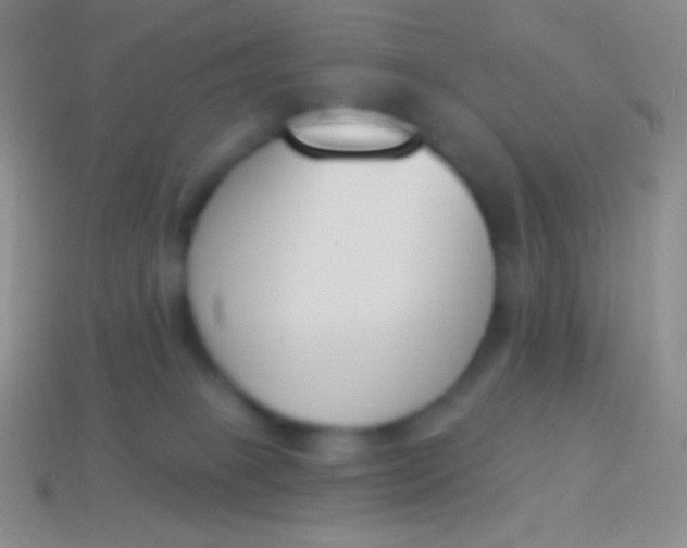 X0000114240085200910231533