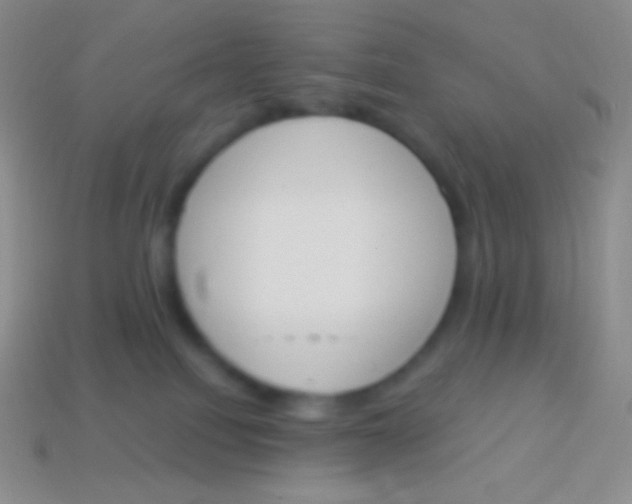 X0000114240088200910231533