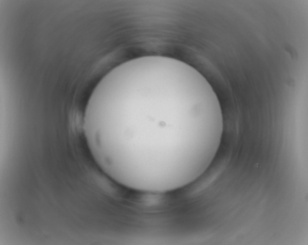 X0000114240089200910231533