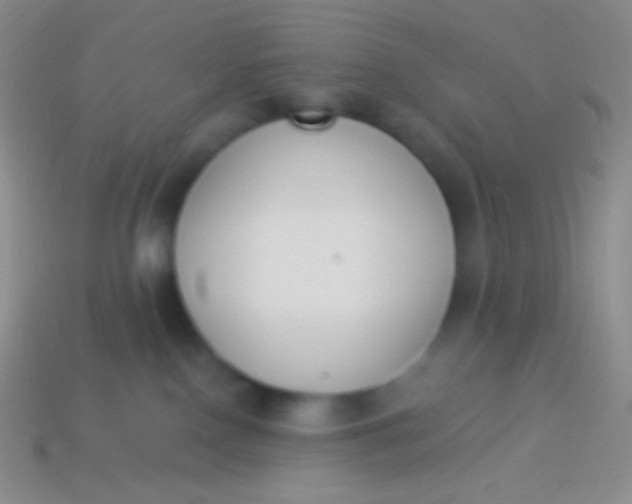 X0000114240090200910231533