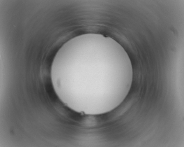 X0000114240091200910231533