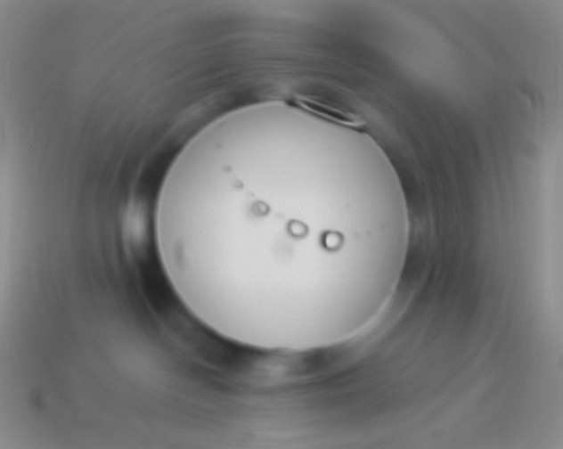 X0000114240094200910231533