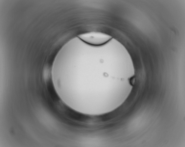 X0000114240095200910231533