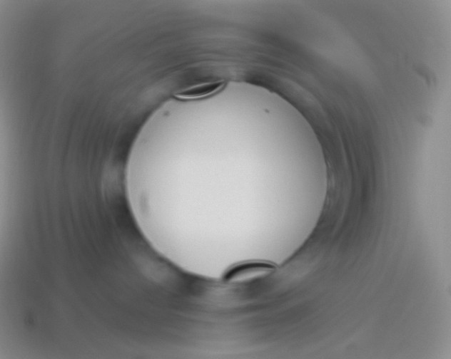 X0000114240096200910231533