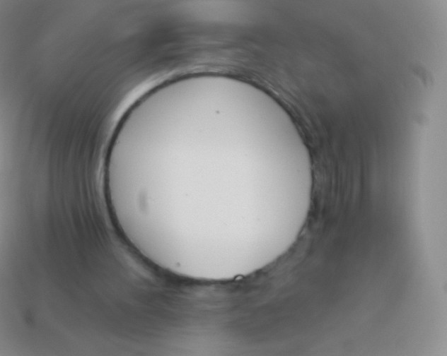 X0000114240100200910231532