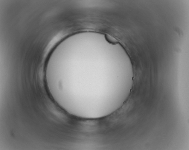 X0000114240102200910231532