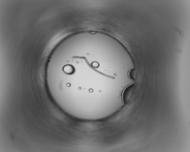 X0000114240103200910231532
