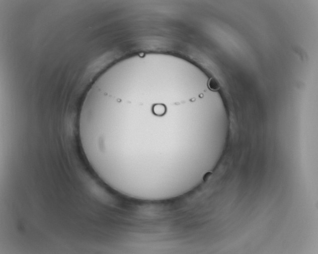 X0000114240105200910231532